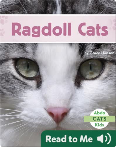 Ragdoll Cats