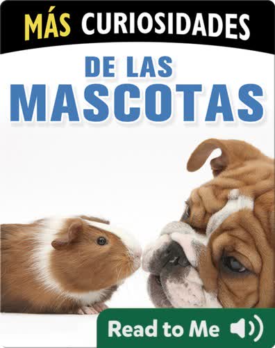 Más Curiosodades de las Mascotas
