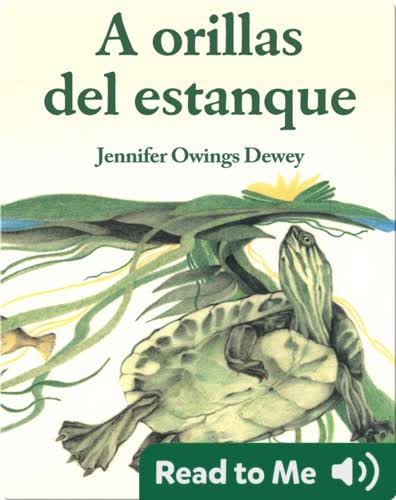 A orillas del estanque
