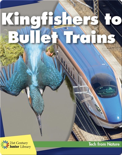 Kingfishers to Bullet Trains