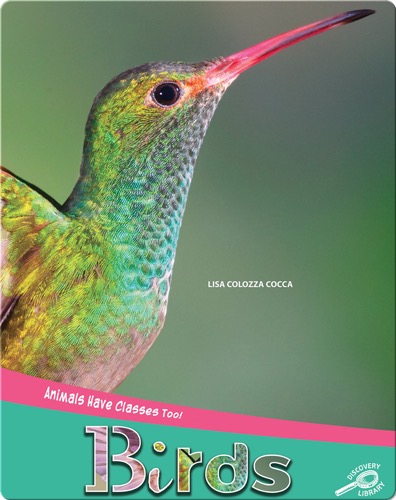 Animals Have Classes Too!: Birds