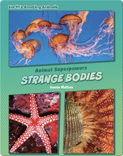 Strange Bodies
