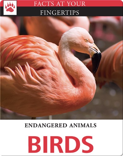 Endangered Animals: Birds