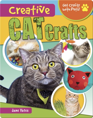 Creative Cat Crafts