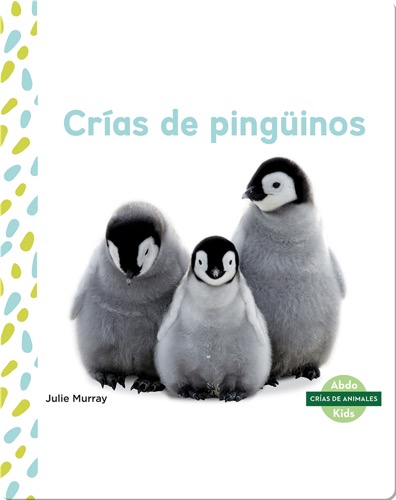 Crías de pingüinos