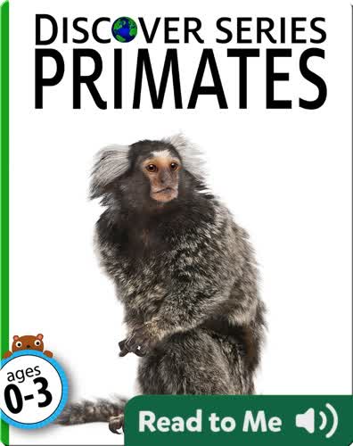 Primates