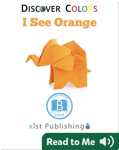 Discover Colors: I See Orange