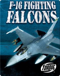 F-16 Fighting Falcons