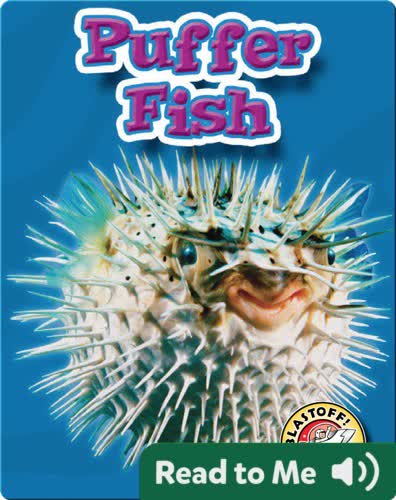 Puffer Fish: Oceans Alive