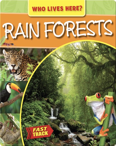Rain Forests