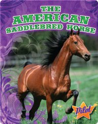 The American Saddlebred Horse