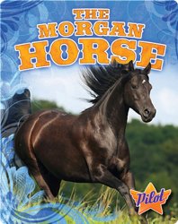 The Morgan Horse