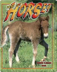 What is a Horse?