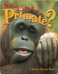 What is a Primate?