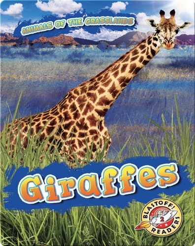 Giraffes