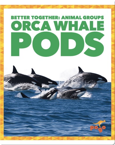 Orca Whales Pods
