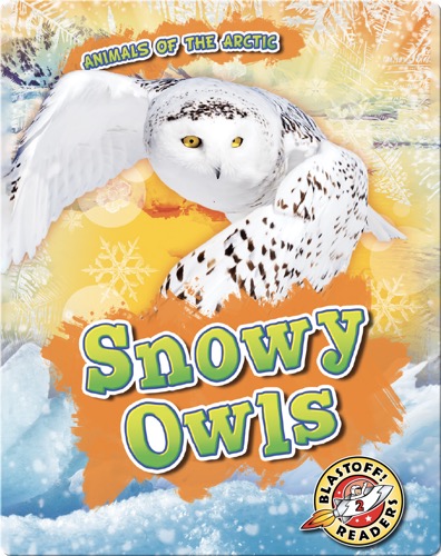 Animals of the Arctic: Snowy Owls