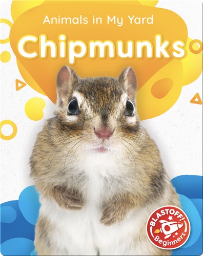 Animals in My Yard: Chipmunks