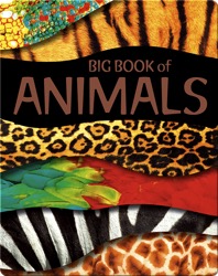 Big Book of Animals