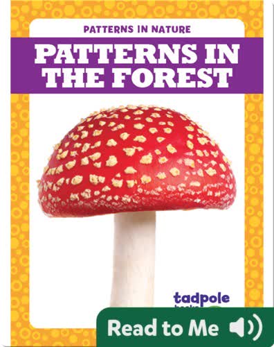 Patterns in the Forest