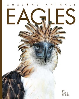 Amazing Animals: Eagles