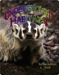 Underground Habitats