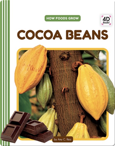 How Foods Grow: Cocoa Beans