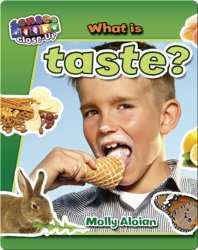 What is Taste?