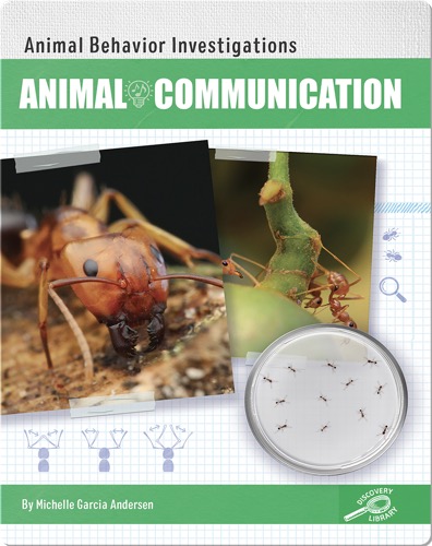 Animal Behavior Investigations: Animal Communication