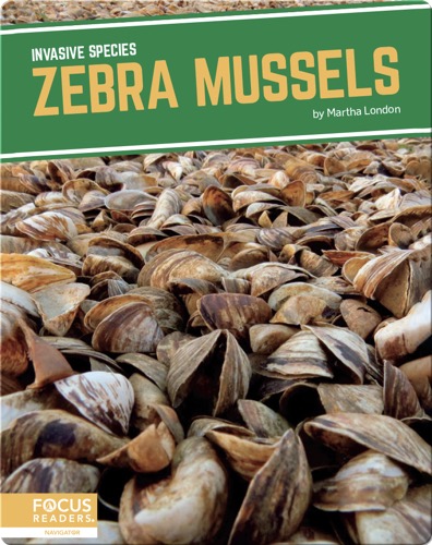 Invasive Species: Zebra Mussels