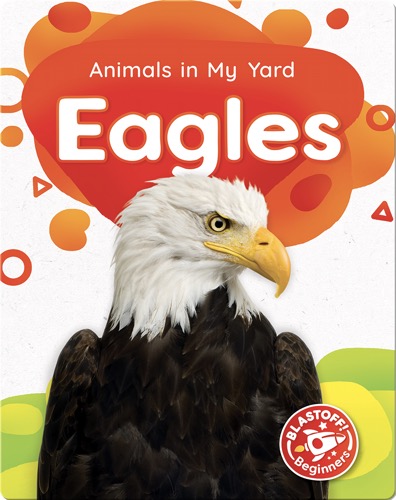 Animals in My Yard: Eagles