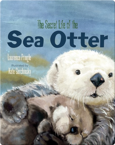 The Secret Life of the Sea Otter
