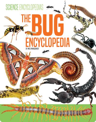 Science Encyclopedias: The Bug Encyclopedia