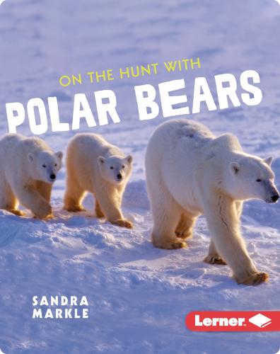 Ultimate Predators: On the Hunt with Polar Bears