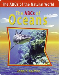 The ABCs of Oceans