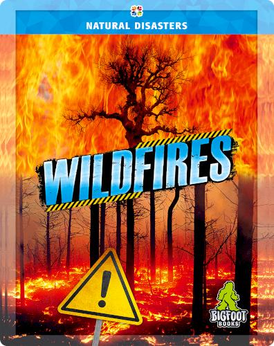 Wildfires