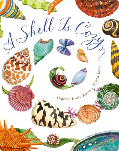 A Shell Is Cozy