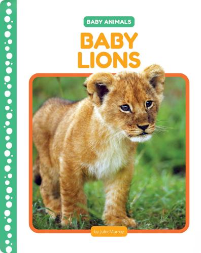 Baby Lions