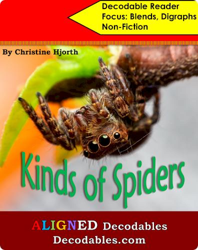 Kinds of Spiders