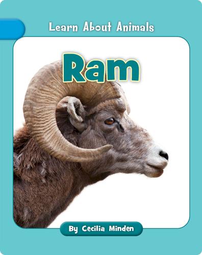 Ram