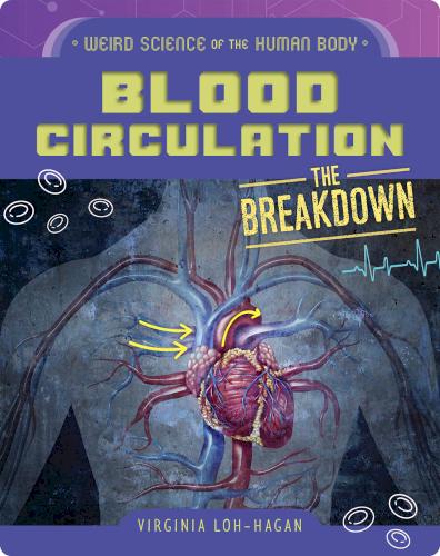 Blood Circulation