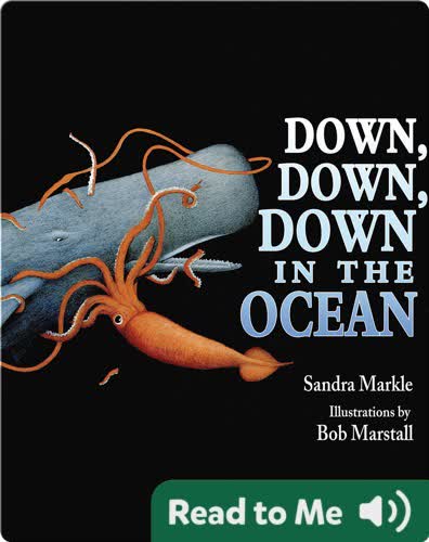 Down, Down, Down in the Ocean