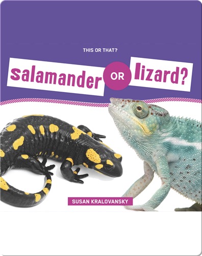 Salamander or Lizard?