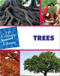 Trees