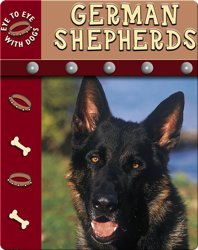 Eye To Eye With Dogs: German Shepherds