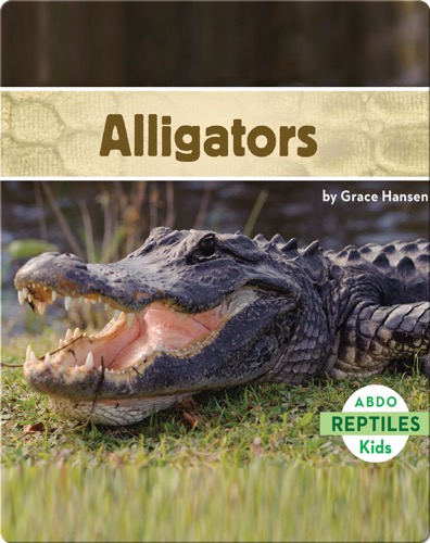 Alligators