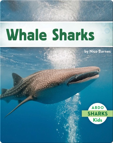 Whale Sharks