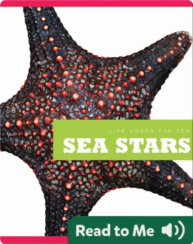 Sea Stars