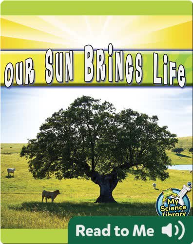 Our Sun Brings Life