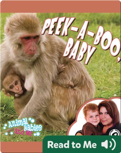 Peek-A-Boo, Baby